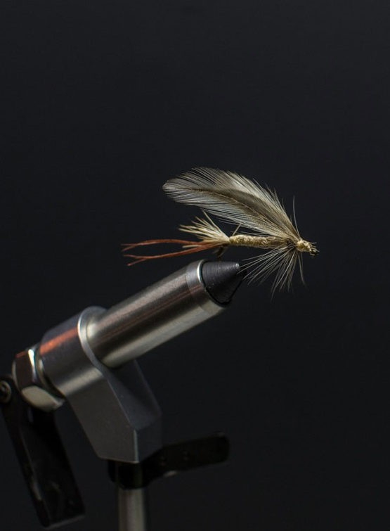 15 Best Nymphs For Colorado (Here's What You Need) - Fly Fishing Fix