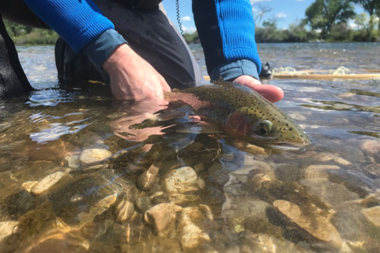 9 Nymphing tips for beginners | Fly Fishing Fix
