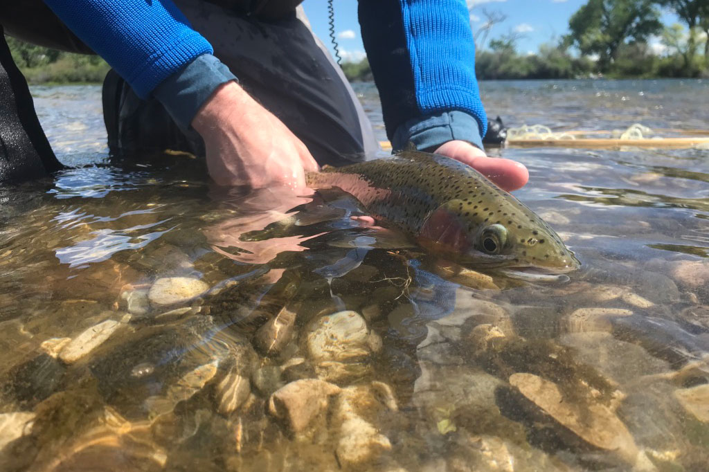 9 Killer Nymphing Tips For Beginners - Fly Fishing Fix