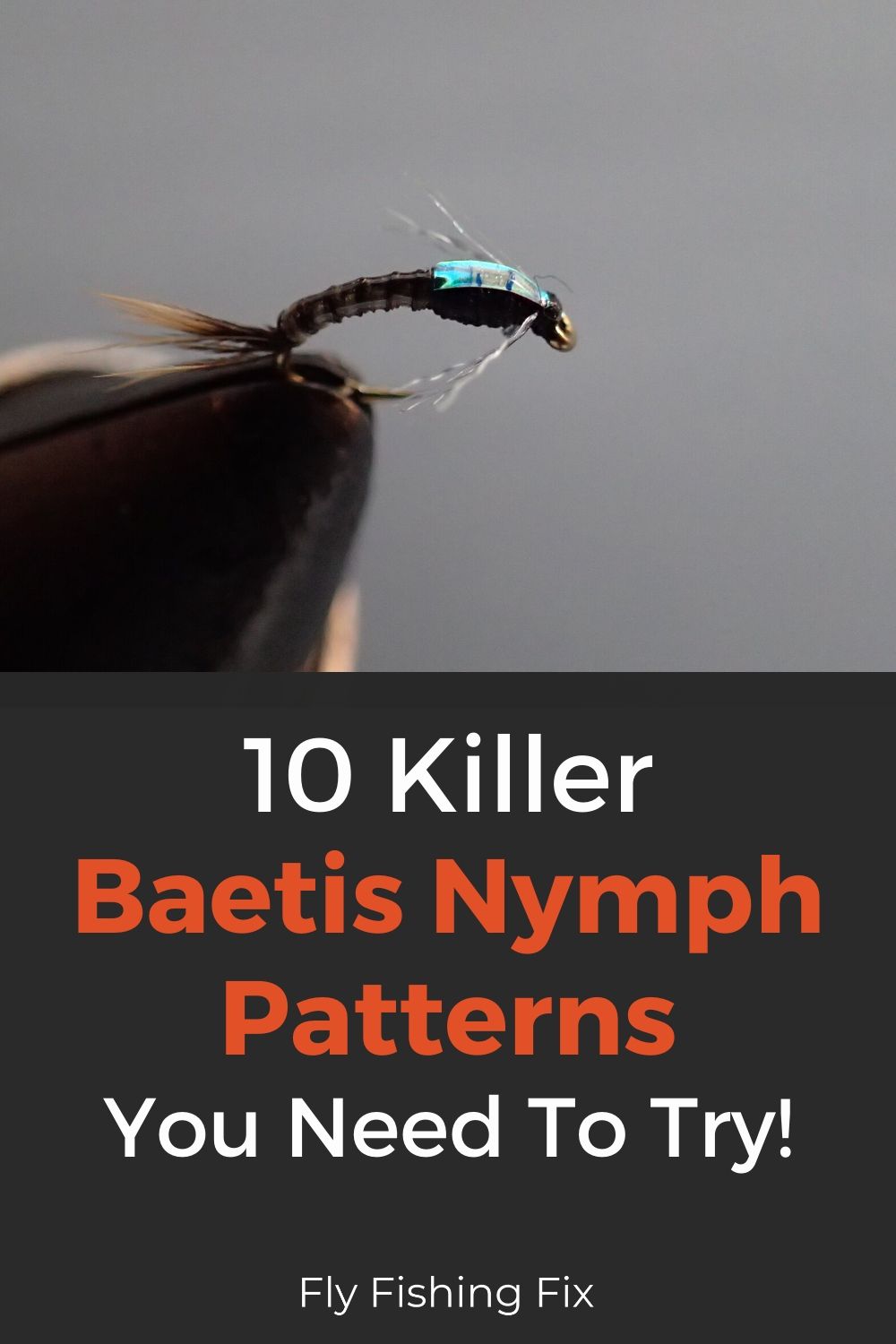 10 Baetis Nymph Patterns You Need To Try Fly Fishing Fix