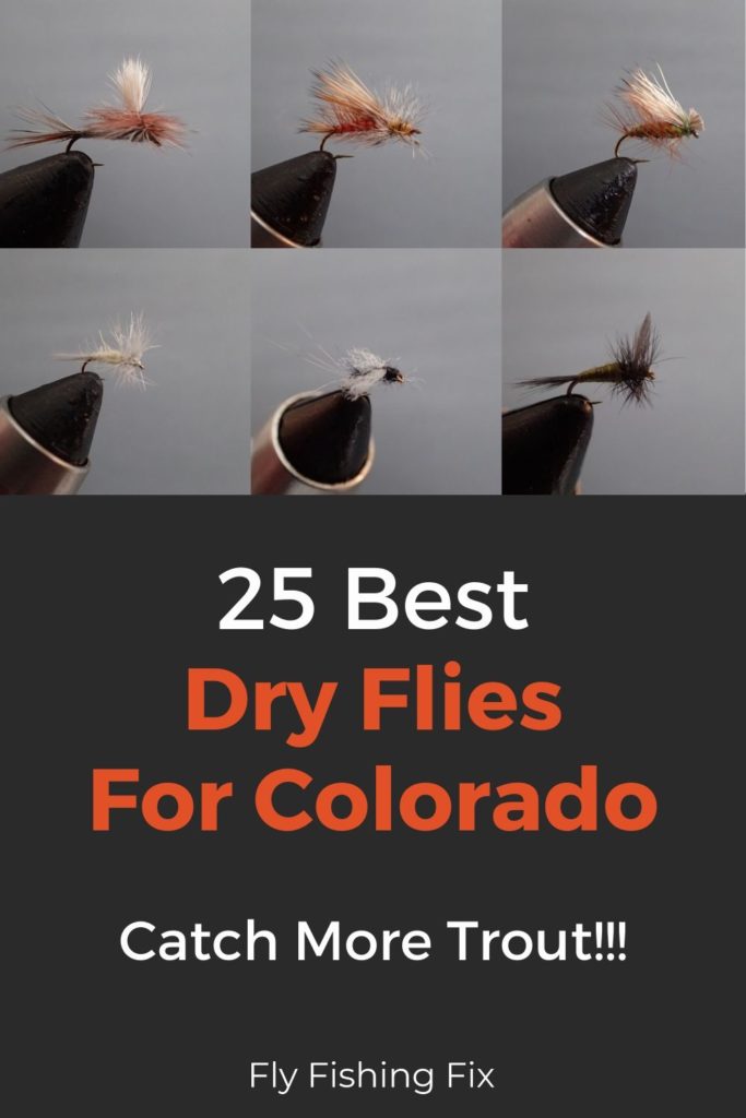 25 Best Dry Flies For Colorado | Fly Fishing Fix
