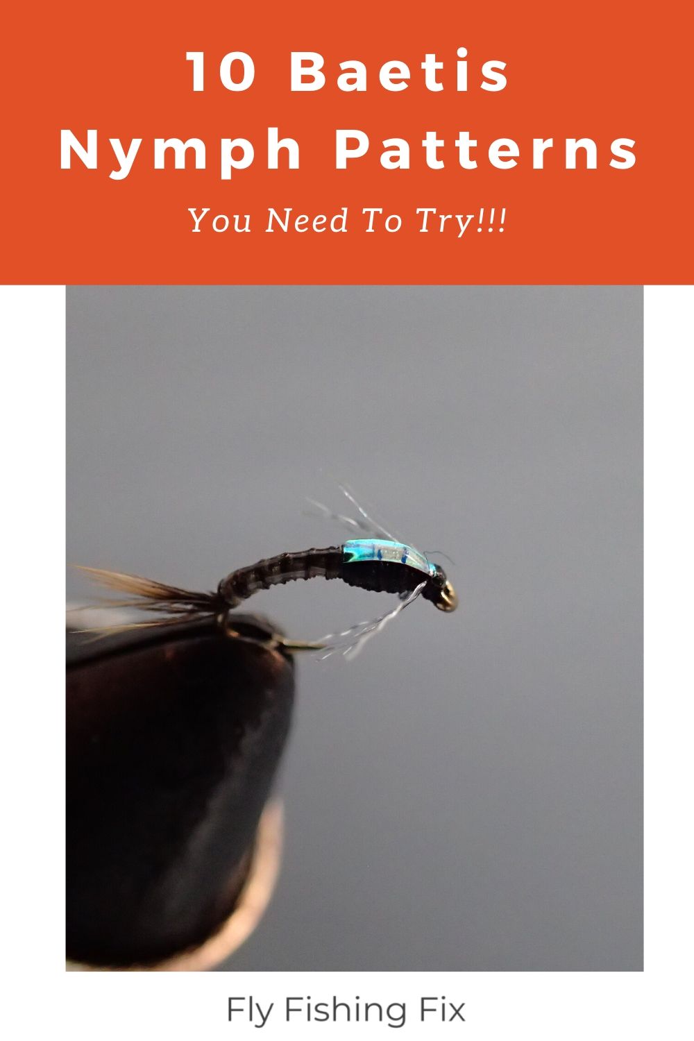 10 Baetis Nymph Patterns You Need To Try Fly Fishing Fix