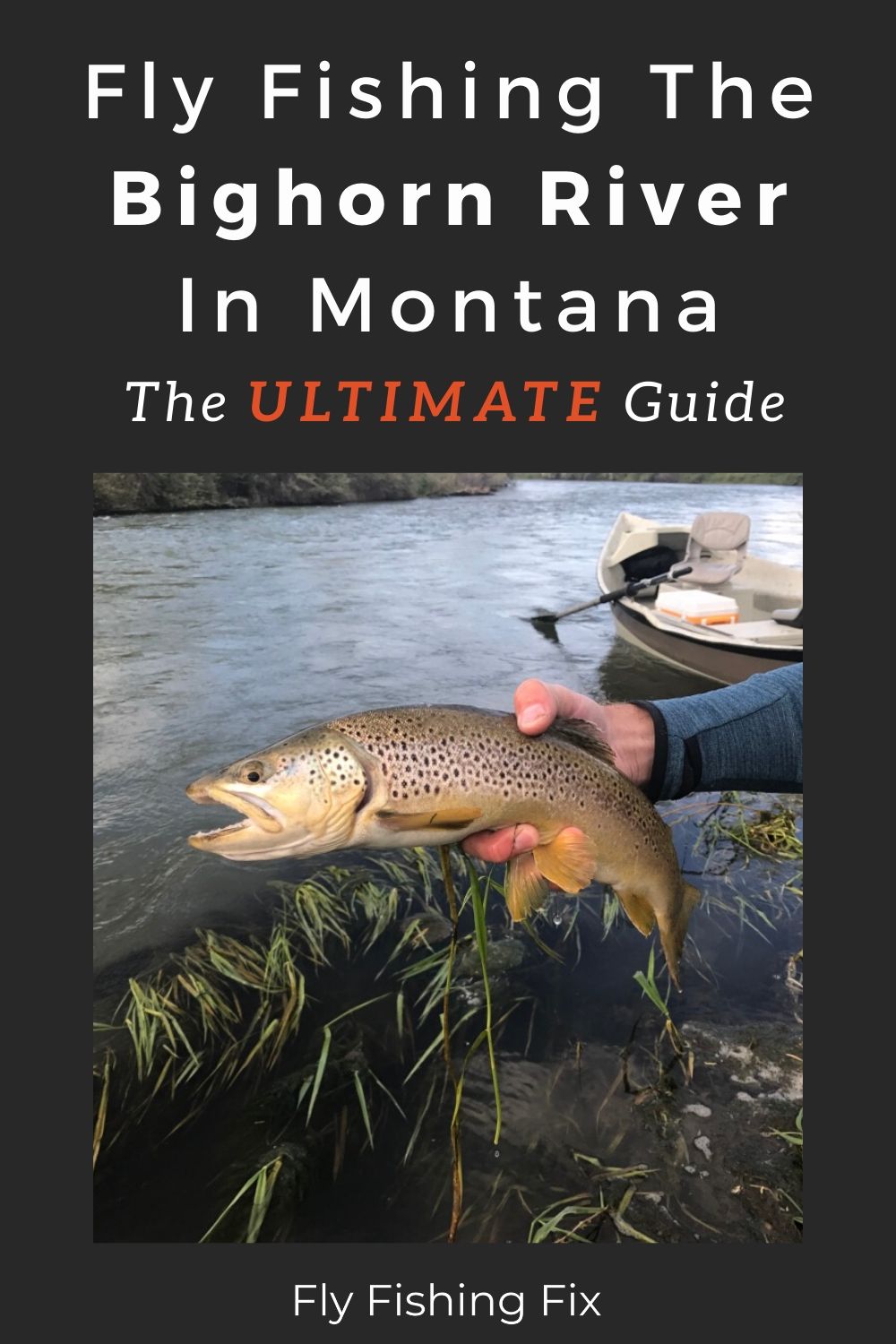 Fishing The Bighorn River In Montana: The Ultimate Guide - Fly