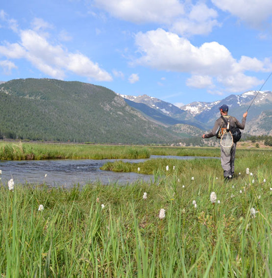 25 tips for fly fishing small streams and creeks | Fly Fishing Fix