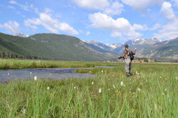 25 tips for fly fishing small streams and creeks | Fly Fishing Fix
