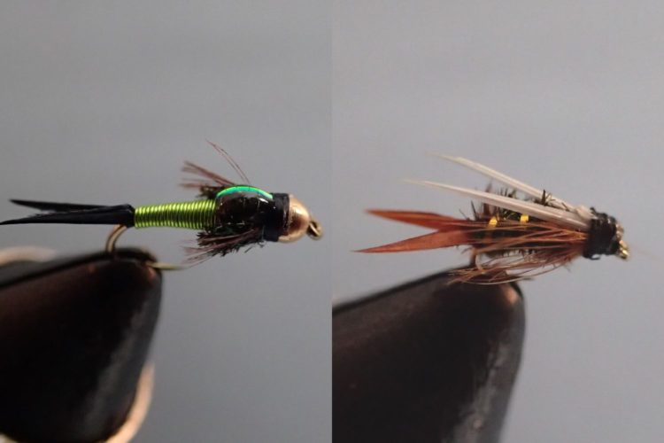 What's A Biot? Tying Flies With Goose and Turkey Biots | Fly Fishing Fix