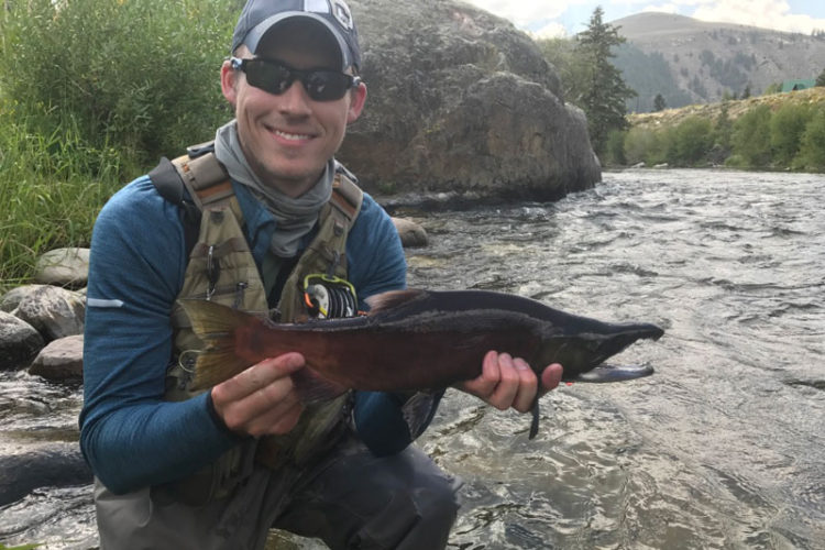 5 Great Places To Catch Kokanee Salmon In Colorado Fly Fishing Fix