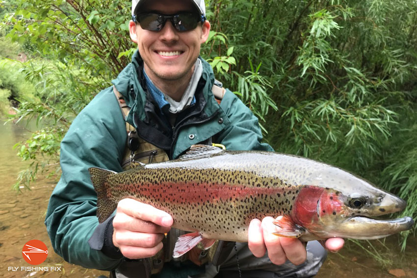 25 Proven Tips To Catch More Trout - Fly Fishing Fix