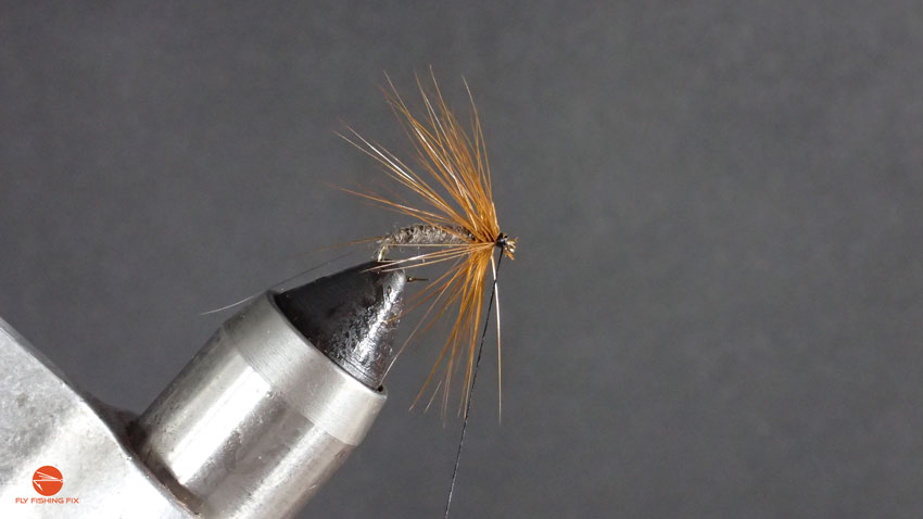 How To Tie A Mayfly - Step 12 | Fly Fishing Fix