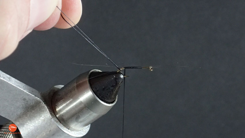 How To Tie A Mayfly - Step 5 | Fly Fishing Fix