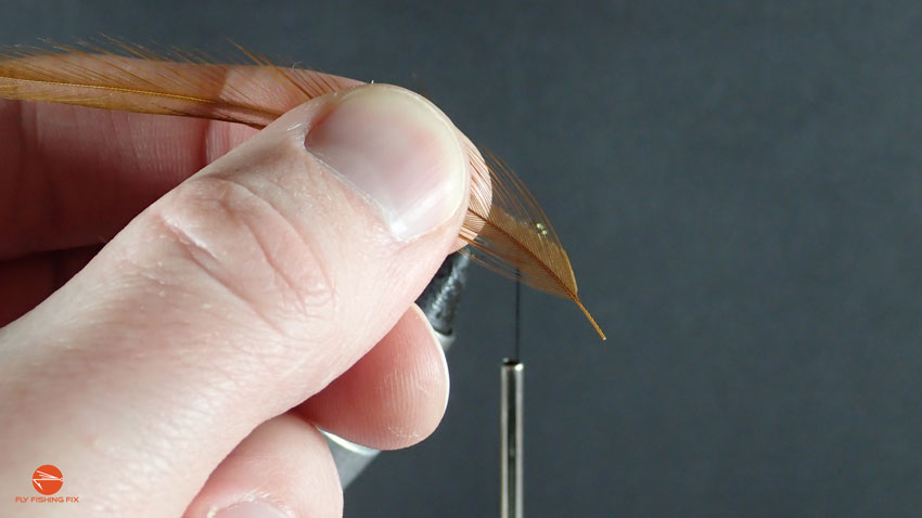 How To Tie A Mayfly - Step 8 | Fly Fishing Fix