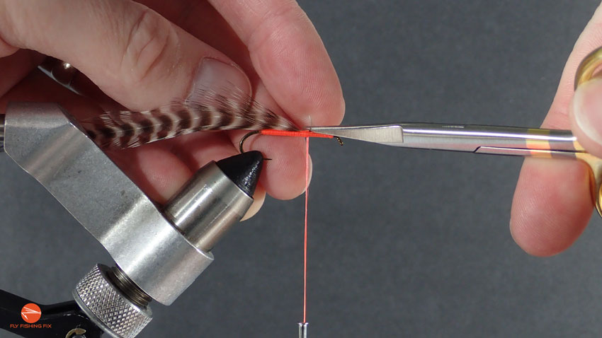 Fly tying For Beginners | Pinch Wrap - Step 5 | Fly Fishing Fix
