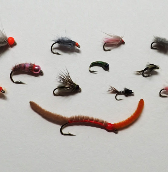21 Best Flies For The Bighorn River | Fly Fishing Fix