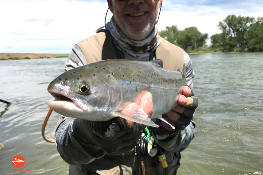 5 Easy Ways To Tell What Trout Are Eating - Fly Fishing Fix