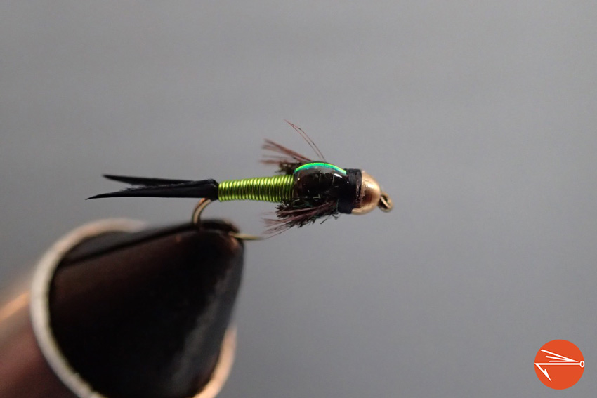 3 MONTANA stonefly tadpole gold nugget Orange MARABOU Tail Nymph Fly Fishing.
