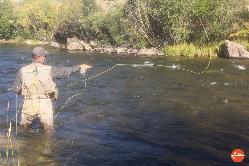 How To Cast In The Wind: 7 Simple Tips - Fly Fishing Fix