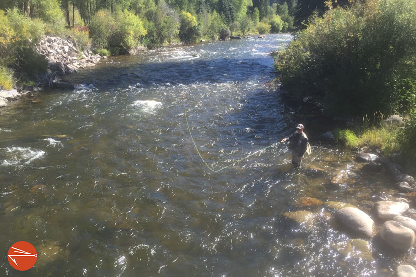 Colorado Anglers Wading Staff