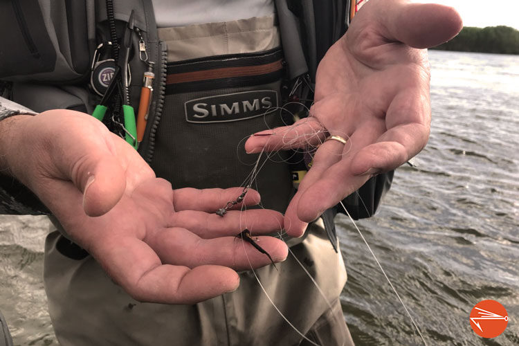 9 Expert Tips To Avoid Fly Fishing Tangles - Fly Fishing Fix