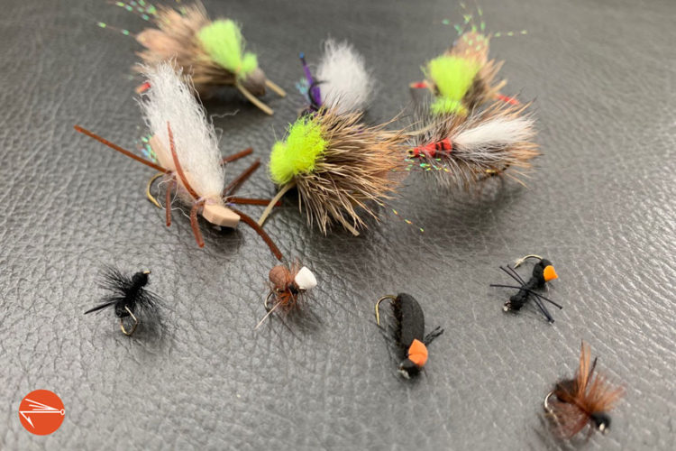 Best time of year for fishing terrestrials | Fly Fishing Fix