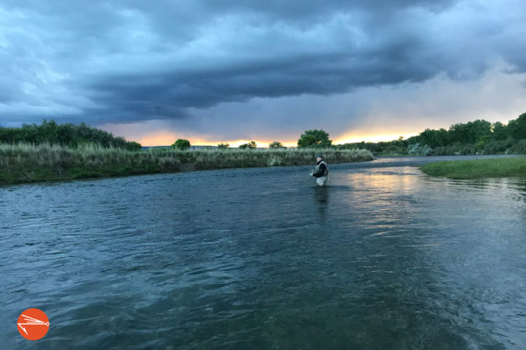 5 Tips For Fly Fishing Riffles And Runs | Fly Fishing Fix