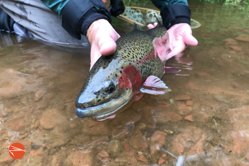 First day of trout season brings out hopeful anglers