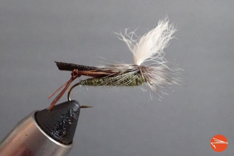 10 Best Grasshopper Fly Patterns For Fly Fishing | Fly Fishing Fix