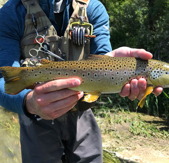 10 best ways to find fly fishing spots | Fly Fishing Fix