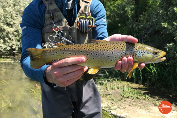 10 best ways to find fly fishing spots | Fly Fishing Fix