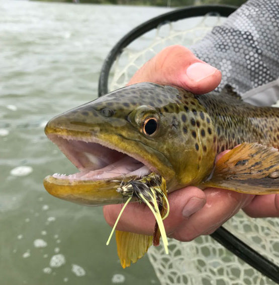 Fly Fishing: The ULTIMATE Dry Fly Cheat? Learn some long leader