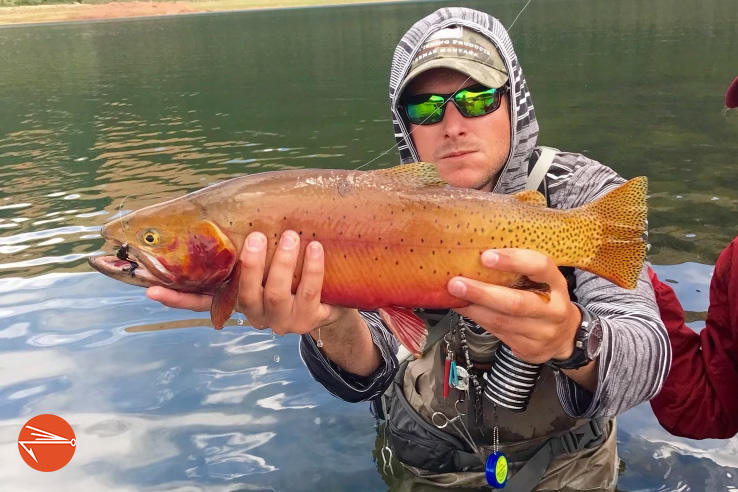 10 Best Flies For Brook Trout (Expert Angler Weighs In) - Fly Fishing Fix