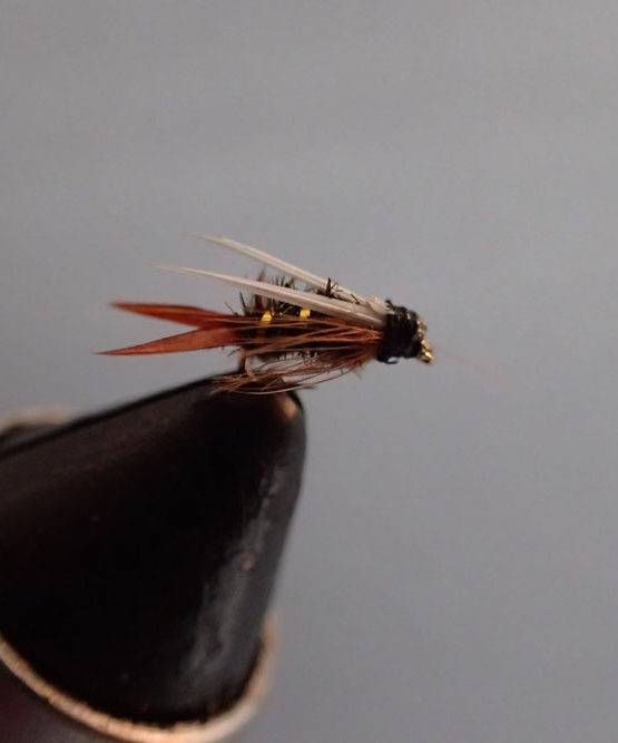 What Is A Prince Nymph? | Fly Fishing Fix